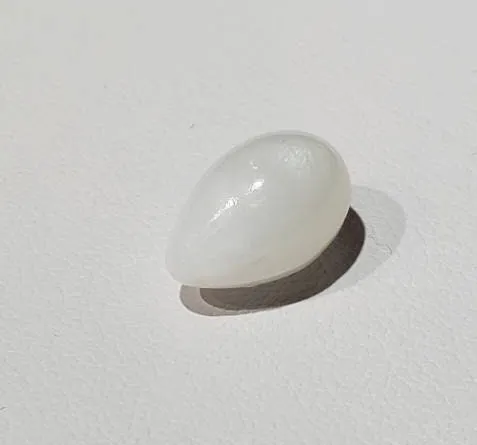 100% Natural Tridacna Pearl white Clam Pearl 8.82mm x l3.36mm, TRI04, 7.53ct