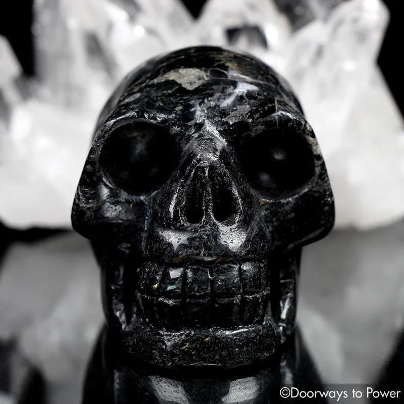 Ancient Nuummite Crystal Skull Rare 3 Billion Years Old