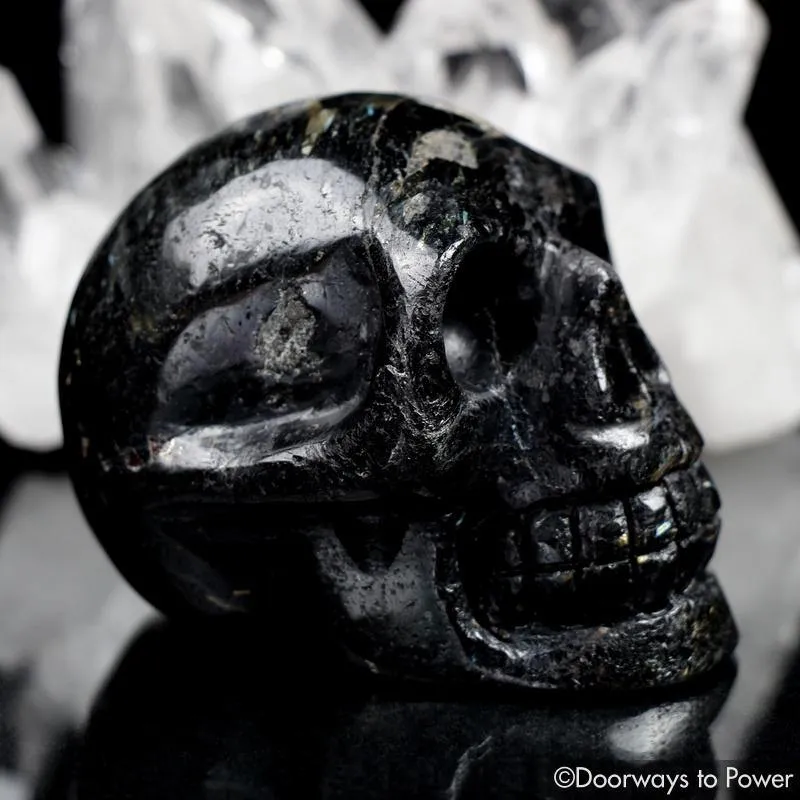 Ancient Nuummite Crystal Skull Rare 3 Billion Years Old