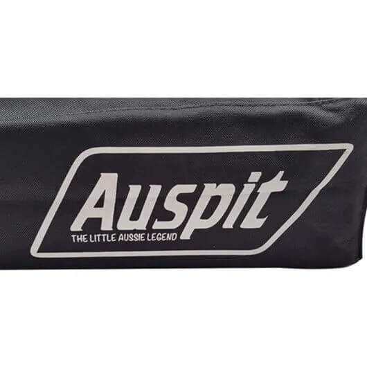 Auspit Bag - Gold Handles