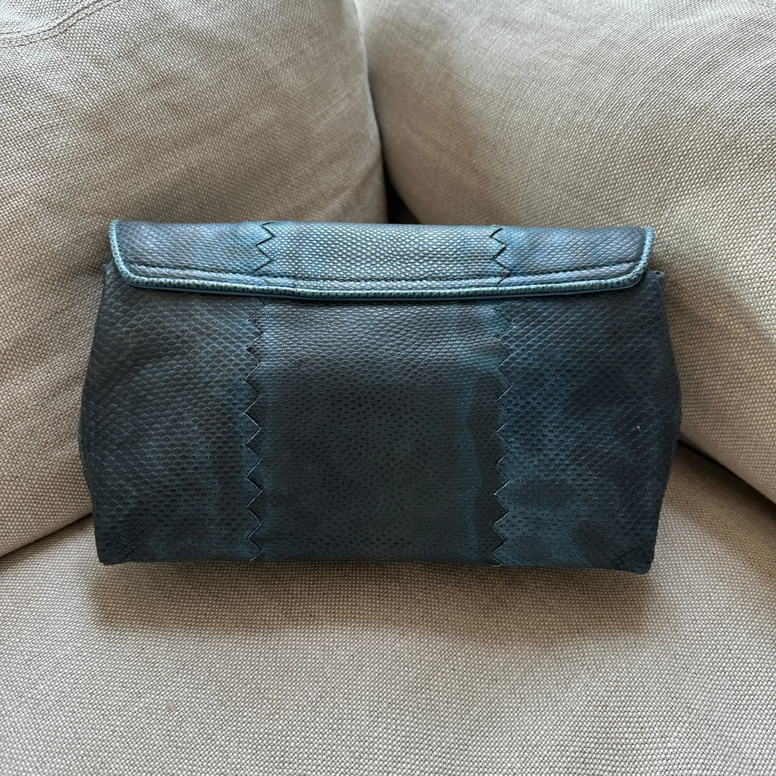 Blue Phyton Clutch