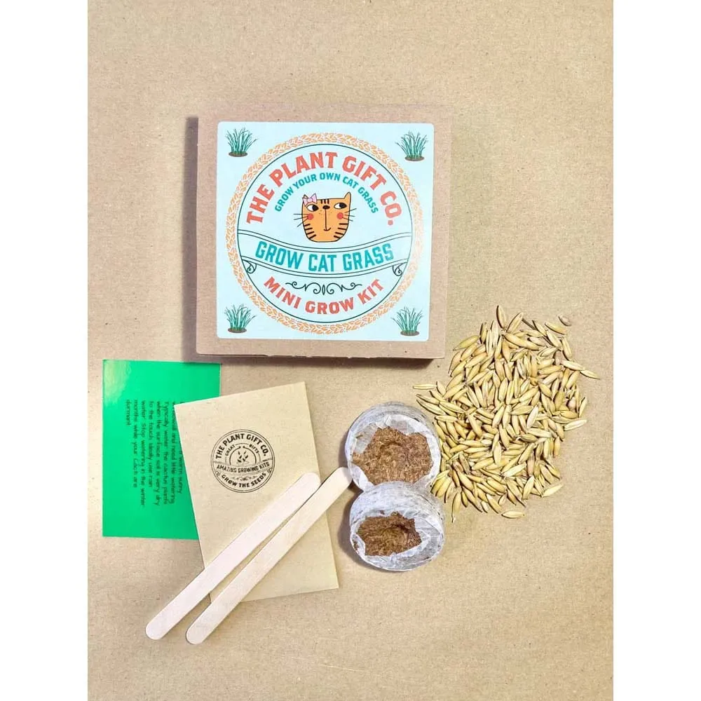 Grow Cat Grass Mini Grow Kit by The Plant Gift Co.