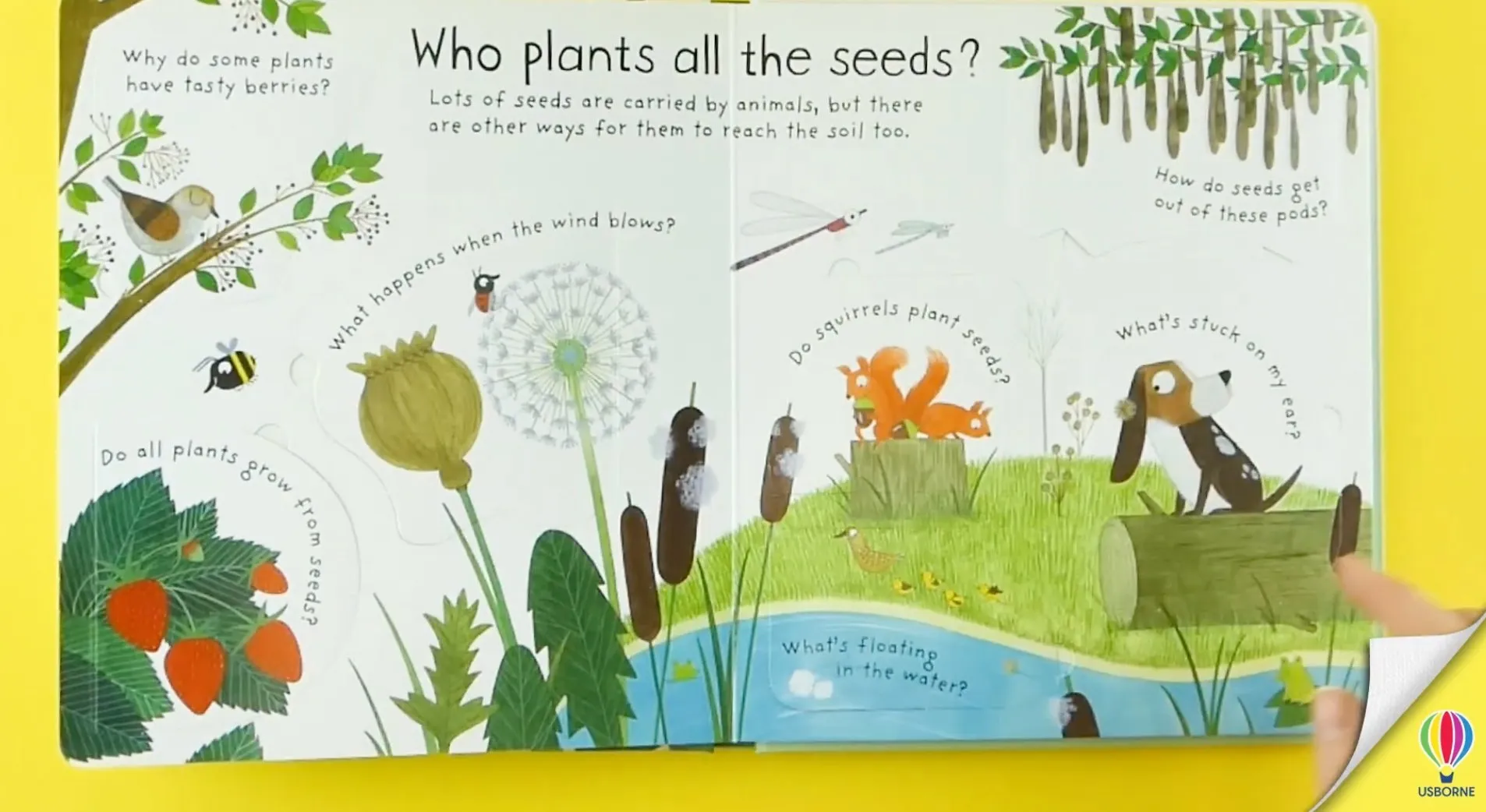 How do Flowers Grow? First Questions and Answers Board Book