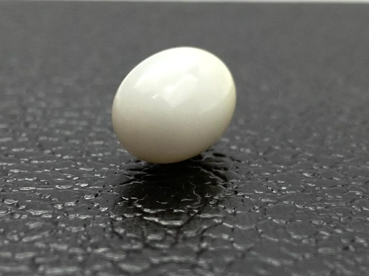 No.01 100% Natural Tridacna Pearl white Clam Pearl, 13.185 carat,  10.33mm x l5.53mm