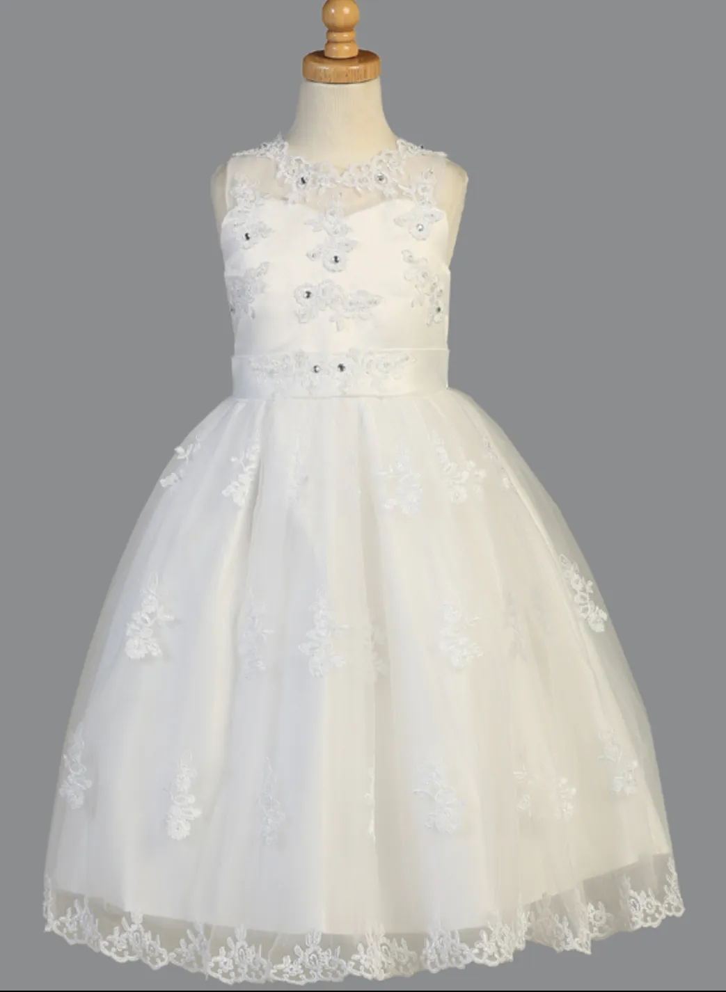 Organza with Beaded Appliques & Rhinestones LNKSP982