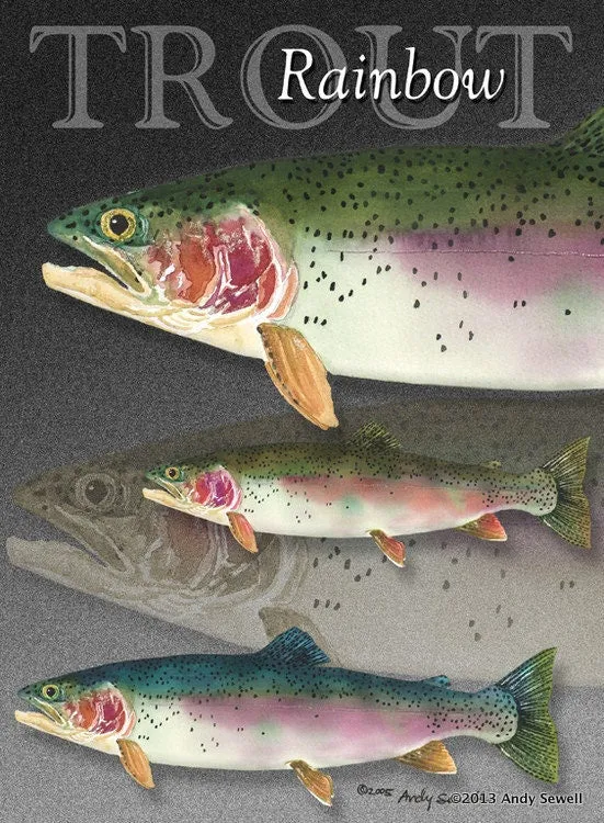 "GRAND SLAM TROUT" - signed giclee reprod. of the Grand Slam of Trout.