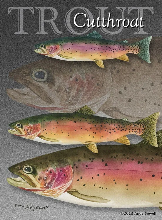 "GRAND SLAM TROUT" - signed giclee reprod. of the Grand Slam of Trout.