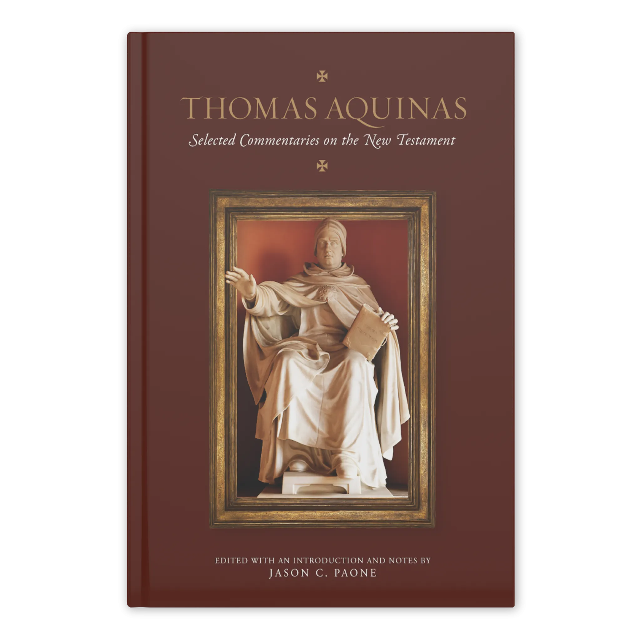 Thomas Aquinas Selected Commentaries Bundle