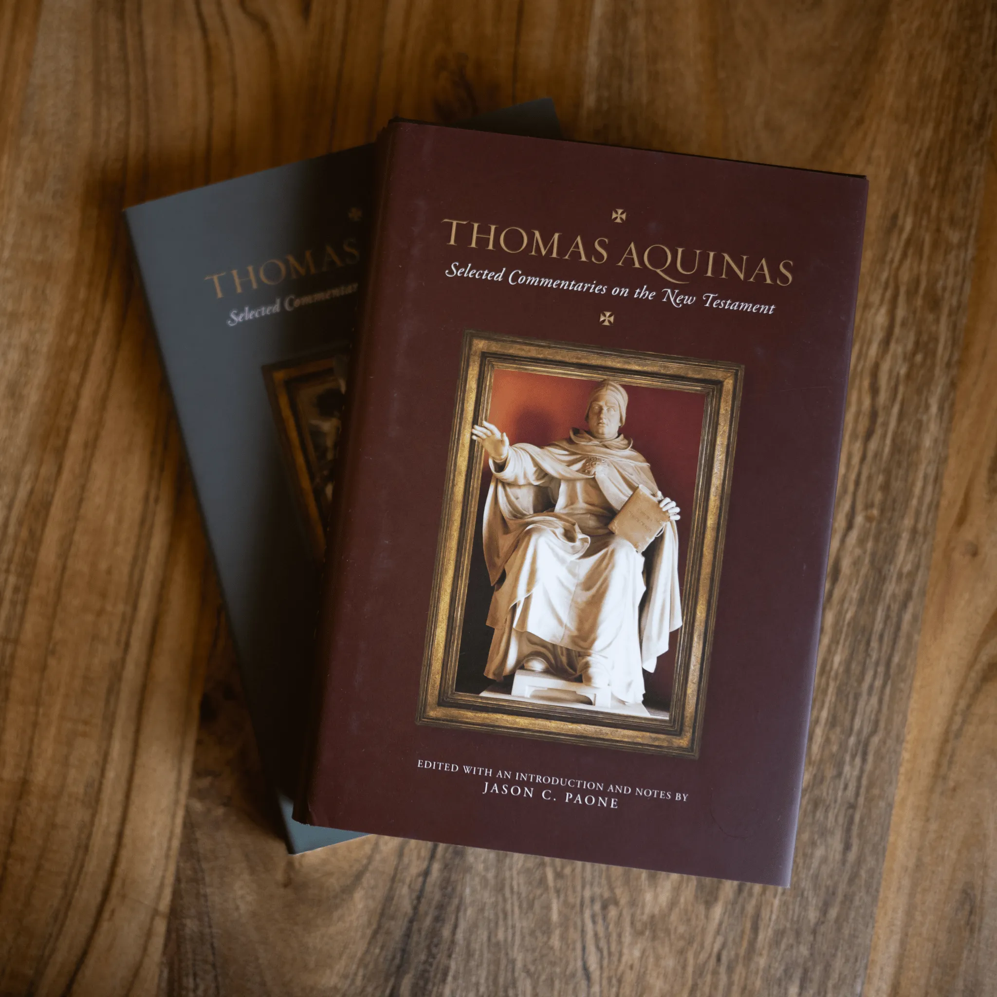 Thomas Aquinas Selected Commentaries Bundle